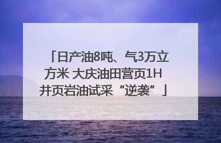 日产油8吨、气3万立方米 大庆油田营页1H井页岩油试采“逆袭”