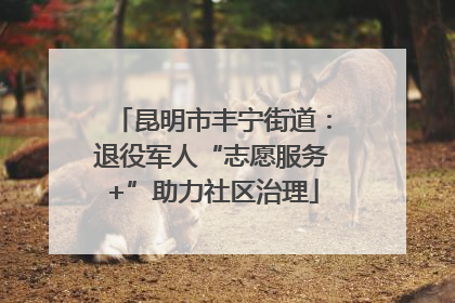 昆明市丰宁街道：退役军人“志愿服务+”助力社区治理