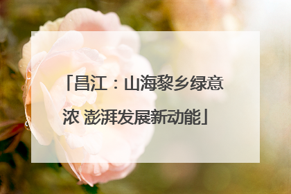昌江：山海黎乡绿意浓 澎湃发展新动能
