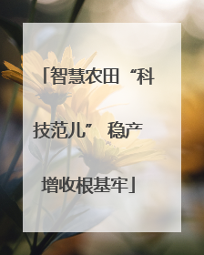 智慧农田“科技范儿” 稳产增收根基牢