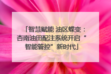 智慧赋能 油区蝶变：杏南油田配注系统开启“智能管控”新时代