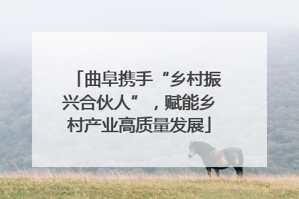 曲阜携手“乡村振兴合伙人”，赋能乡村产业高质量发展