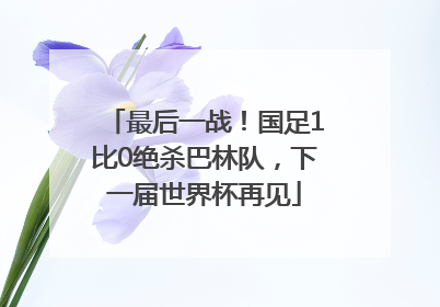 最后一战！国足1比0绝杀巴林队，下一届世界杯再见