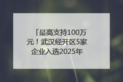 最高支持100万元！武汉经开区5家企业入选2025年度武汉市重点研发计划拟立项项目名单