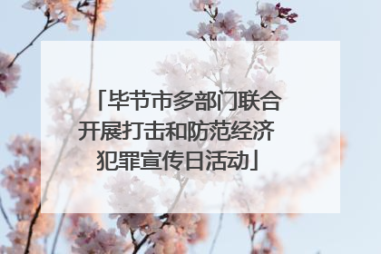 毕节市多部门联合开展打击和防范经济犯罪宣传日活动
