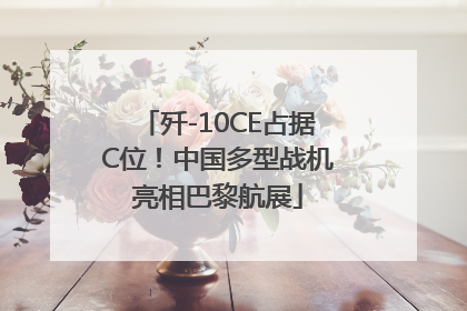 歼-10CE占据C位！中国多型战机亮相巴黎航展