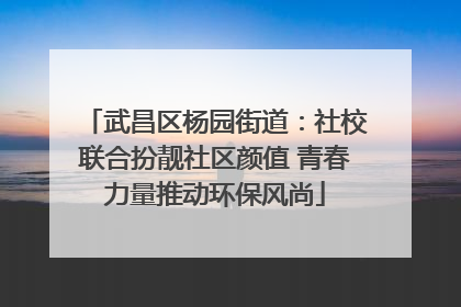 武昌区杨园街道：社校联合扮靓社区颜值 青春力量推动环保风尚