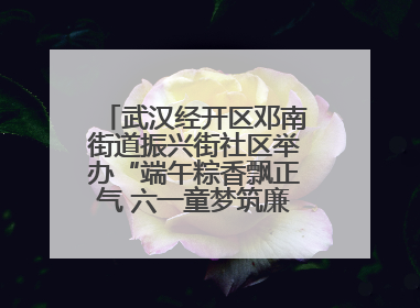 武汉经开区邓南街道振兴街社区举办“端午粽香飘正气 六一童梦筑廉心” 主题活动