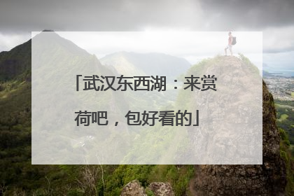 武汉东西湖：来赏荷吧，包好看的