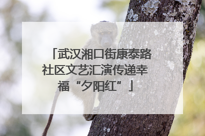 武汉湘口街康泰路社区文艺汇演传递幸福“夕阳红”