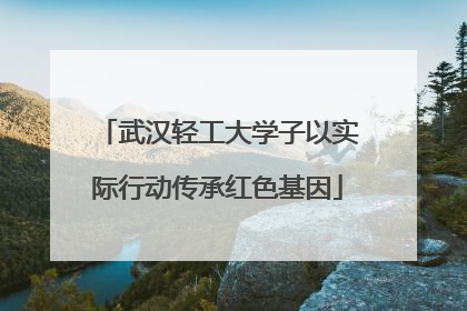 武汉轻工大学子以实际行动传承红色基因