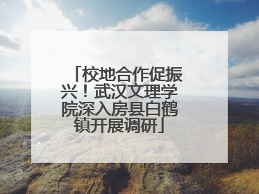 校地合作促振兴！武汉文理学院深入房县白鹤镇开展调研