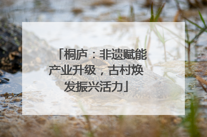 桐庐：非遗赋能产业升级，古村焕发振兴活力