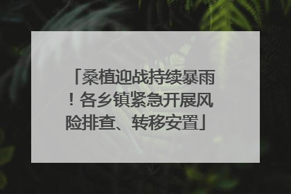 桑植迎战持续暴雨！各乡镇紧急开展风险排查、转移安置