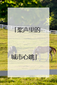 桨声里的城市心跳