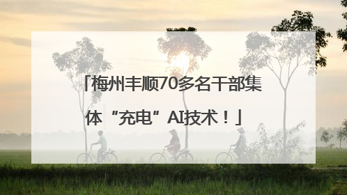 梅州丰顺70多名干部集体“充电”AI技术！