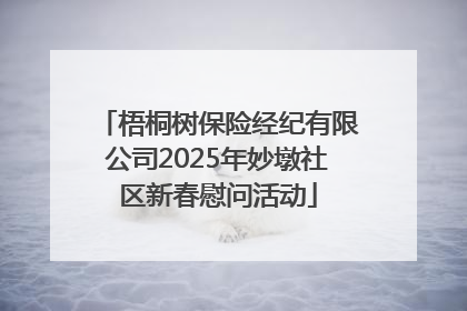 梧桐树保险经纪有限公司2025年妙墩社区新春慰问活动