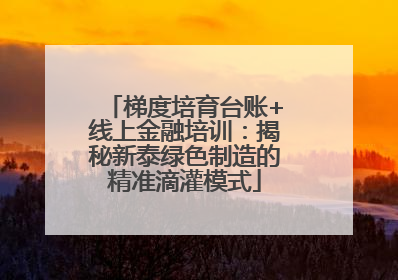 梯度培育台账+线上金融培训：揭秘新泰绿色制造的精准滴灌模式