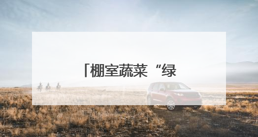 棚室蔬菜“绿”起来 农民日子“红”起来