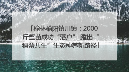 榆林榆阳镇川镇：2000斤蟹苗成功“落户” 蹚出“稻蟹共生”生态种养新路径