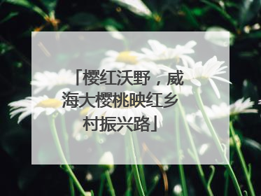 樱红沃野，威海大樱桃映红乡村振兴路