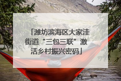 潍坊滨海区大家洼街道“三包三联”激活乡村振兴密码