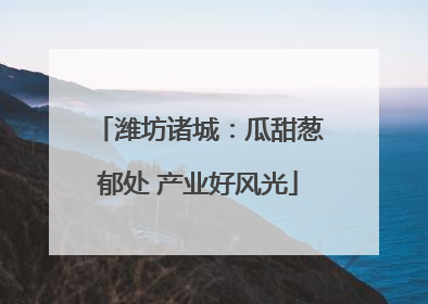 潍坊诸城：瓜甜葱郁处 产业好风光
