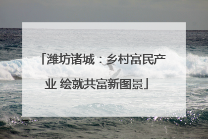 潍坊诸城：乡村富民产业 绘就共富新图景