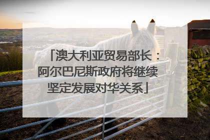 澳大利亚贸易部长：阿尔巴尼斯政府将继续坚定发展对华关系