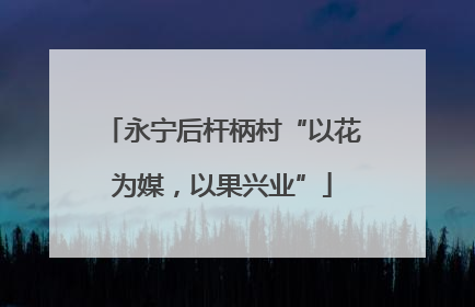 永宁后杆柄村“以花为媒，以果兴业”