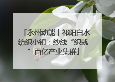 永州动能丨祁阳白水纺织小镇：纱线“织就”百亿产业集群