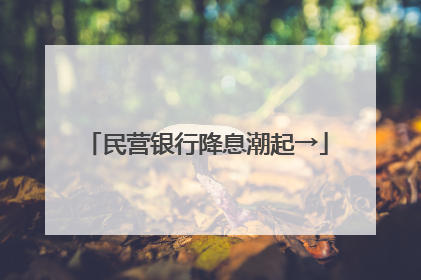 民营银行降息潮起→