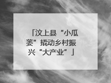 汶上县“小瓜蒌”撬动乡村振兴“大产业”