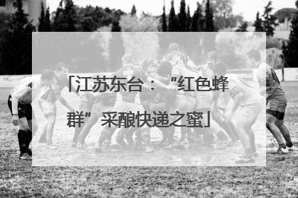 江苏东台：“红色蜂群”采酿快递之蜜