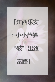 江西乐安：小小芦笋“破”出致富路