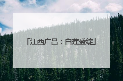 江西广昌：白莲盛绽