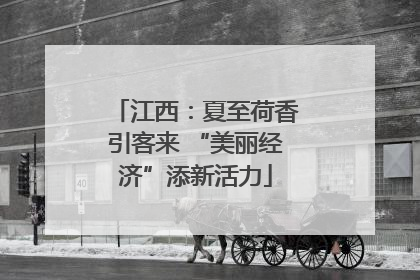 江西：夏至荷香引客来 “美丽经济”添新活力
