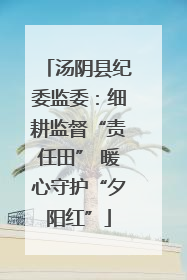 汤阴县纪委监委：细耕监督“责任田” 暖心守护“夕阳红”