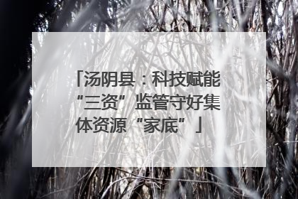 汤阴县：科技赋能“三资”监管守好集体资源“家底”