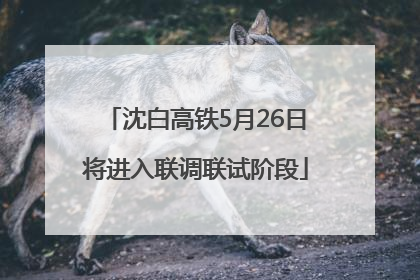 沈白高铁5月26日将进入联调联试阶段