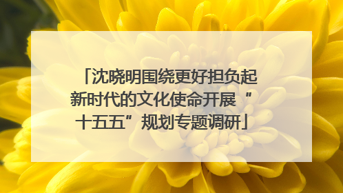 沈晓明围绕更好担负起新时代的文化使命开展“十五五”规划专题调研