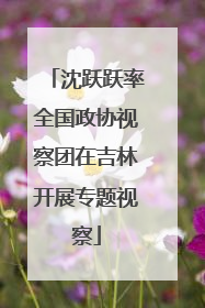 沈跃跃率全国政协视察团在吉林开展专题视察
