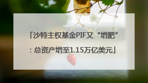 沙特主权基金PIF又“增肥”：总资产增至1.15万亿美元