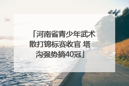 河南省青少年武术散打锦标赛收官 塔沟强势摘40冠