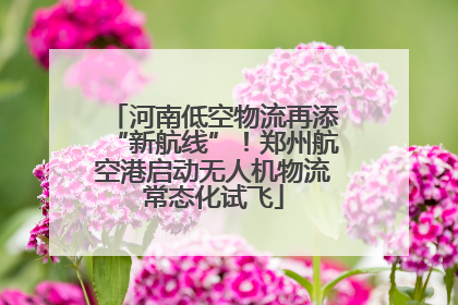 河南低空物流再添“新航线”！郑州航空港启动无人机物流常态化试飞