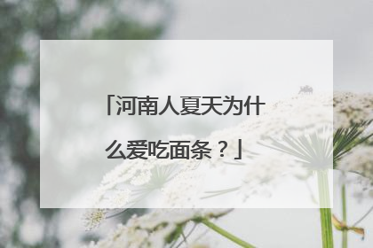 河南人夏天为什么爱吃面条？