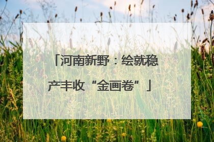 河南新野：绘就稳产丰收“金画卷”