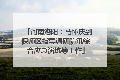 河南洛阳：马怀庆到偃师区指导调研防汛综合应急演练等工作