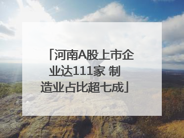 河南A股上市企业达111家 制造业占比超七成