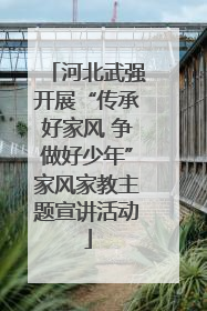 河北武强开展“传承好家风 争做好少年”家风家教主题宣讲活动
